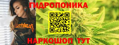 гидропоника Гусь-Хрустальный