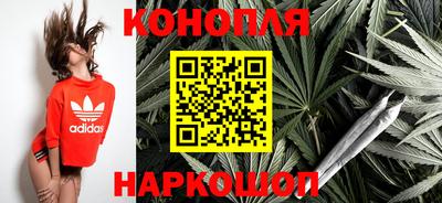 гидропоника Гусь-Хрустальный