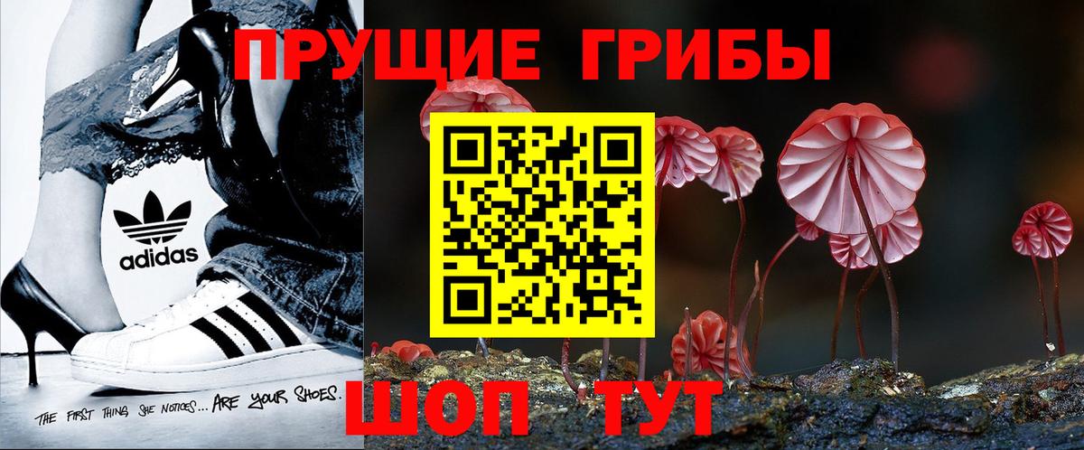 Мелеуз  Псилоцибиновые грибы мухоморы  Псилоцибиновые грибы мицелий  Вход с VPN 